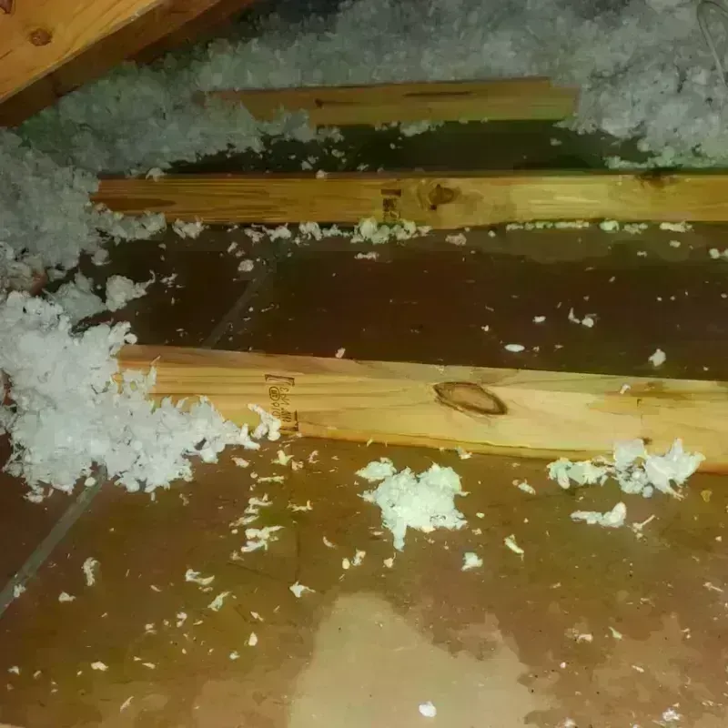 Attic Water Damage in Groveland, FL