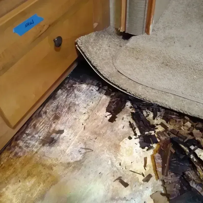 Best Wood Floor Water Damage Service in Groveland, FL